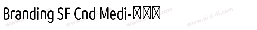 Branding SF Cnd Medi字体转换